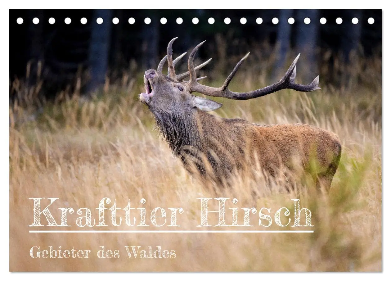 Cover: 9783457611357 | Krafttier Hirsch (Tischkalender 2026 DIN A5 quer), CALVENDO...
