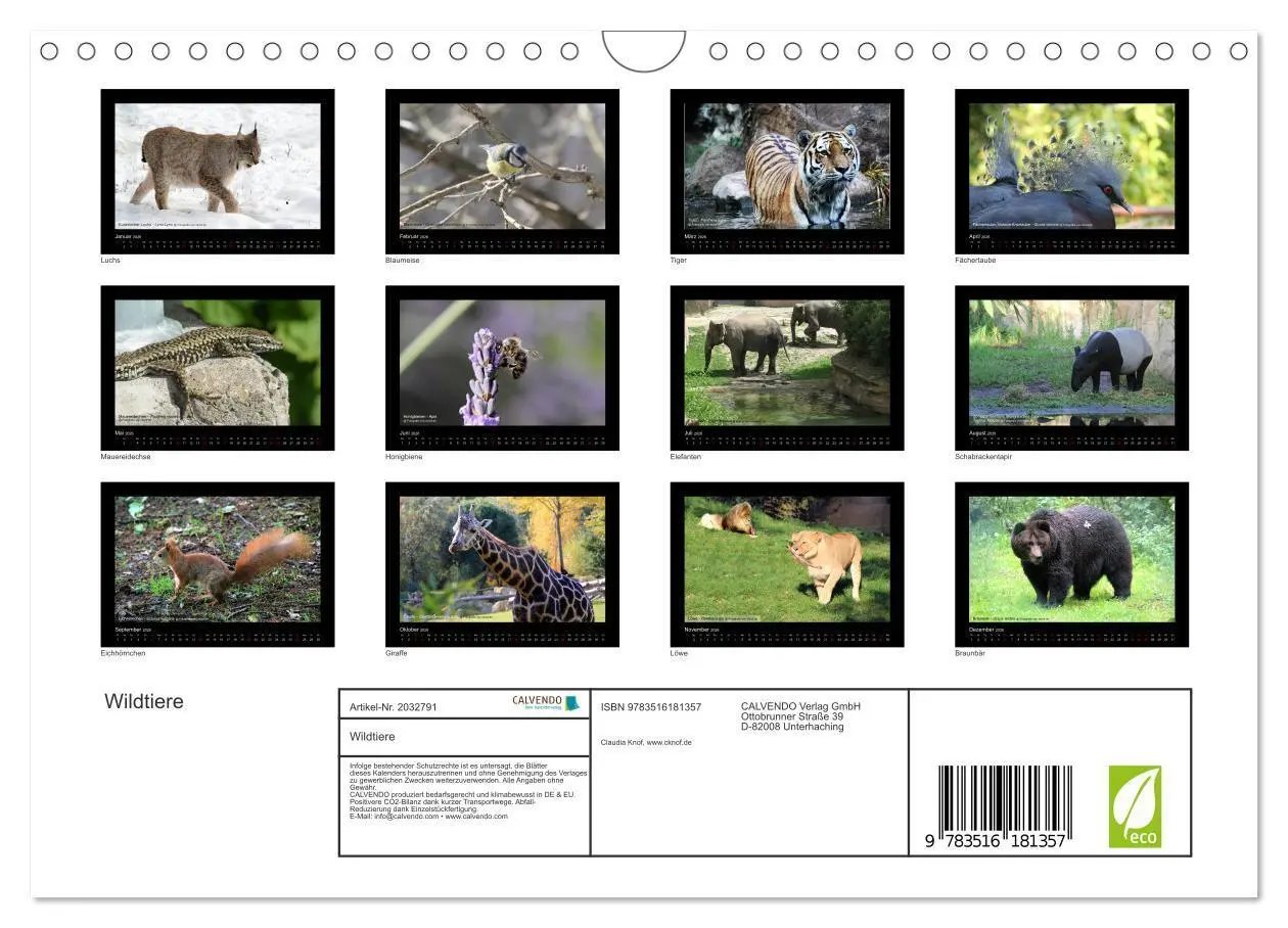 Bild: 9783516181357 | Wildtiere (Wandkalender 2026 DIN A4 quer), CALVENDO Monatskalender