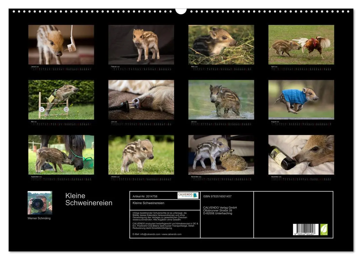 Bild: 9783516001457 | Kleine Schweinereien (Wandkalender 2026 DIN A2 quer), CALVENDO...