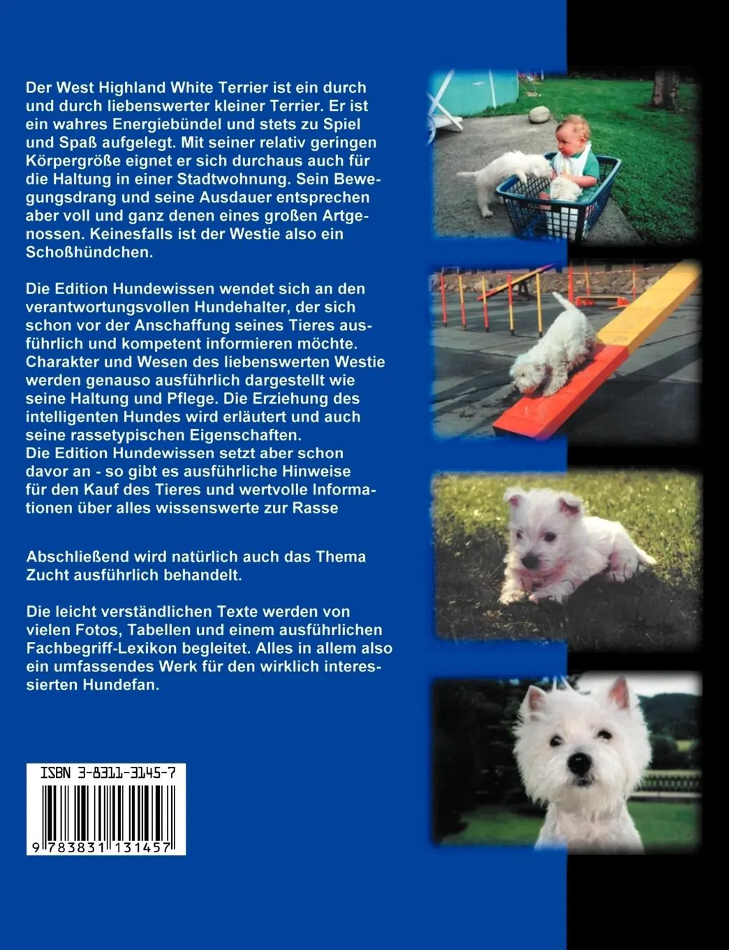 Rückseite: 9783831131457 | West Highland White Terrier | Dirk Glebe | Taschenbuch | Paperback