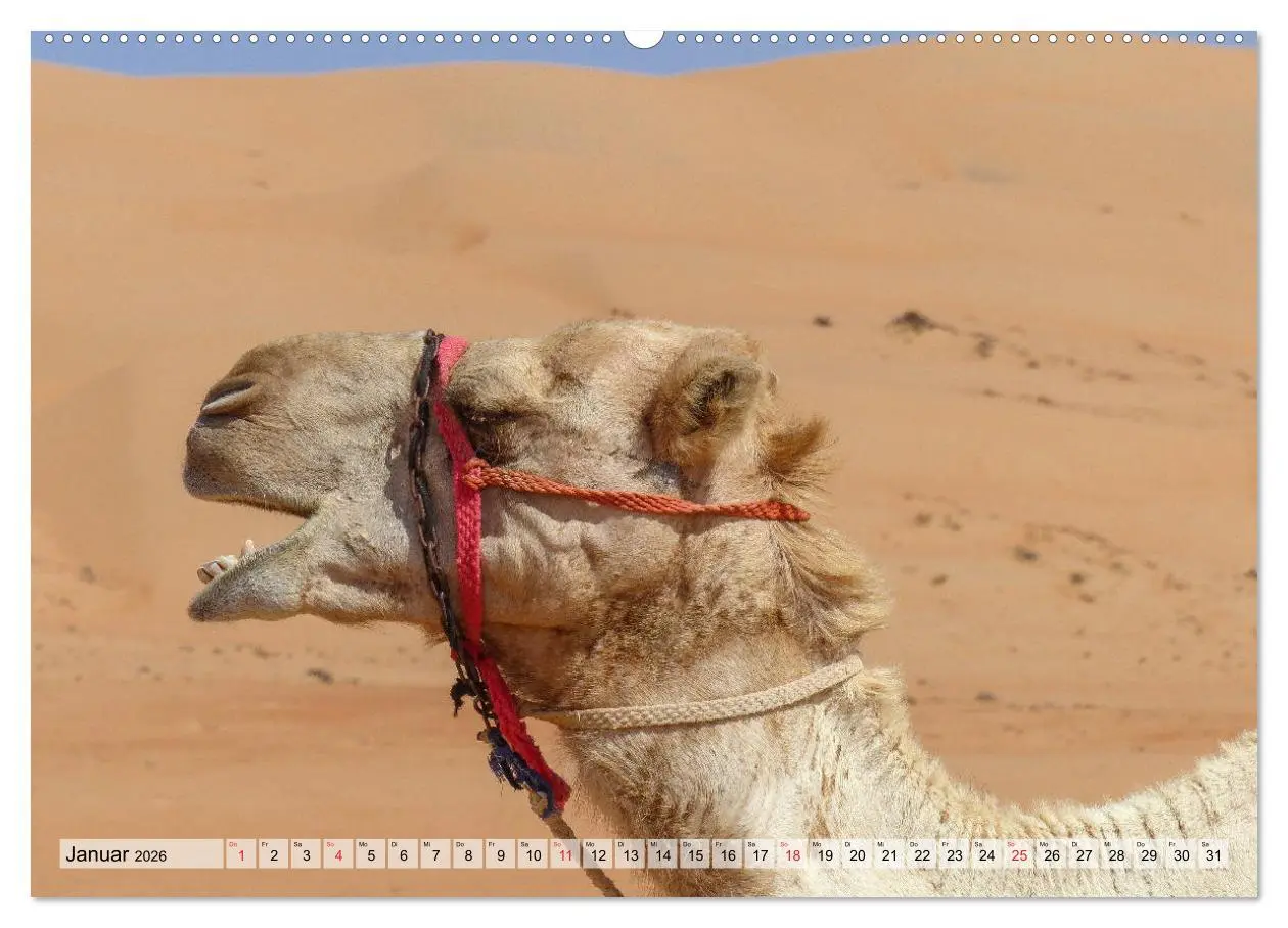 Bild: 9783457761557 | Oman - Zauberhafte Landschaften (Wandkalender 2026 DIN A2 quer),...