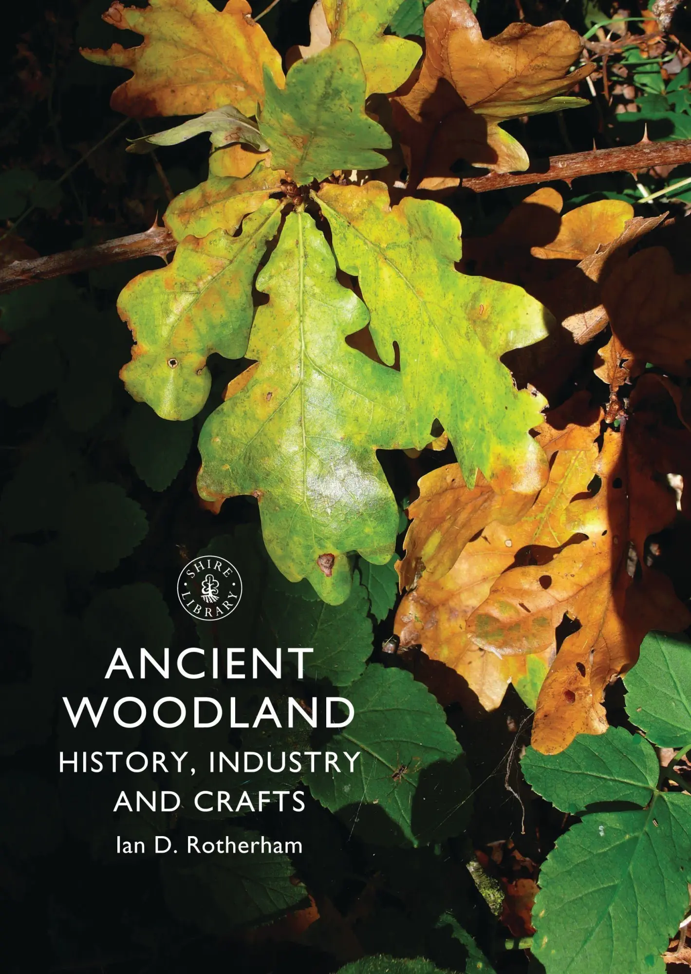 Cover: 9780747811657 | Ancient Woodland | History, Industry and Crafts | Ian Rotherham | Buch