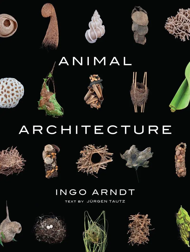 Cover: 9781419711657 | Animal Architecture | Ingo Arndt (u. a.) | Buch | 160 S. | Englisch