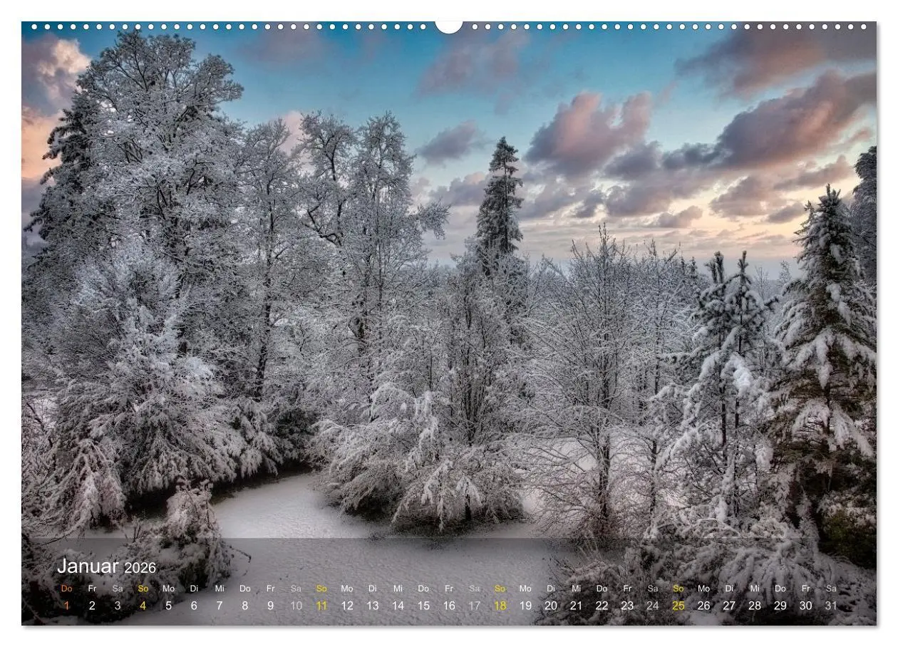 Bild: 9783457511657 | Das Schweigen der Bäume (Wandkalender 2026 DIN A2 quer), CALVENDO...