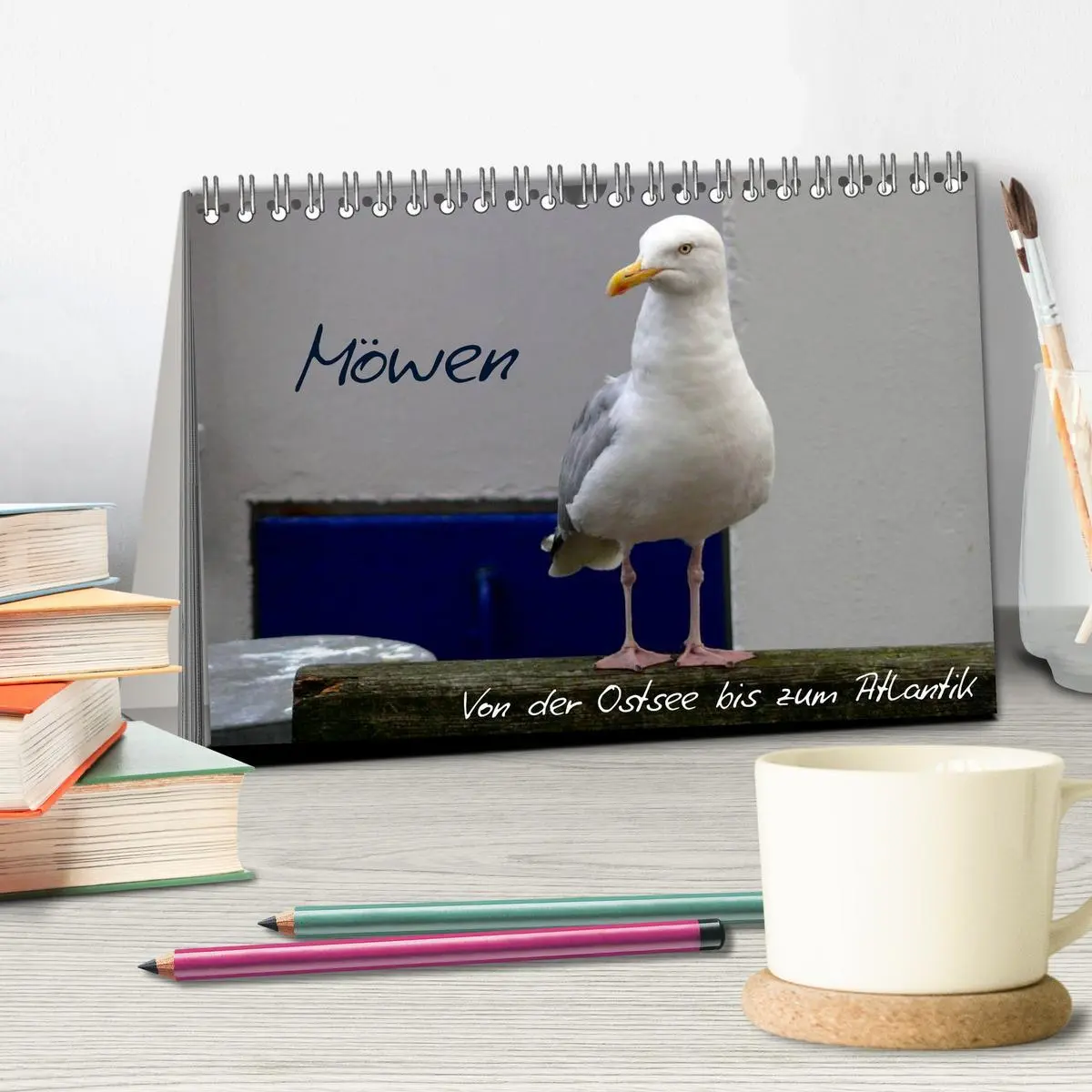 Bild: 9783516151657 | Möwen - Von der Ostsee bis zum Atlantik (Tischkalender 2026 DIN A5...