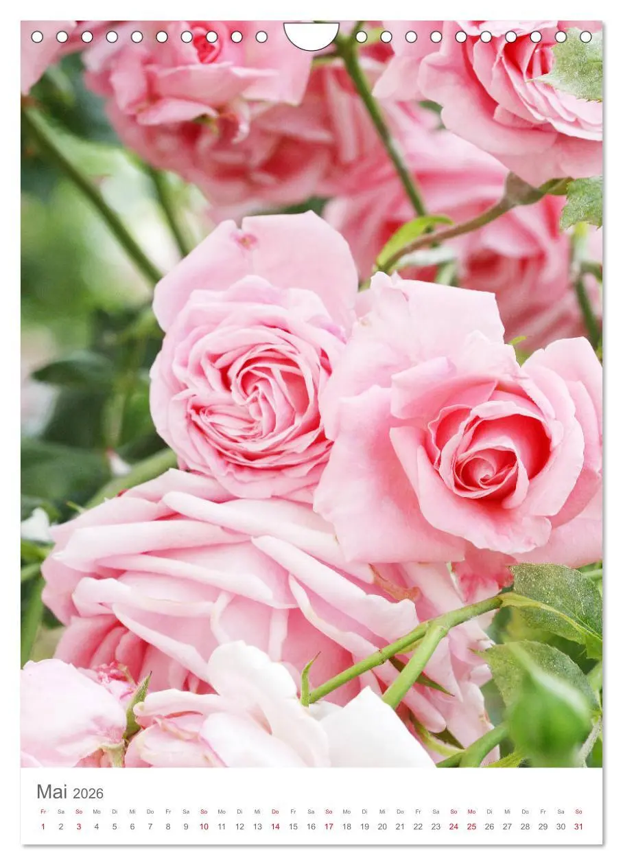 Bild: 9783516391657 | Glücklich mit Rosen (Wandkalender 2026 DIN A4 hoch), CALVENDO...
