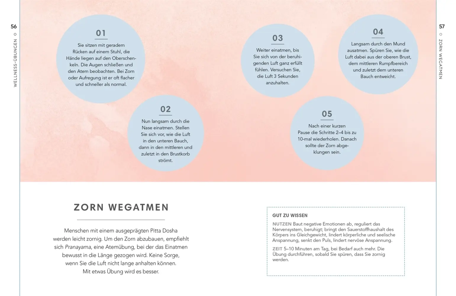 Bild: 9783831041657 | Self-Care Collection. Ayurveda | Sonja Shah-Williams | Buch | 144 S.