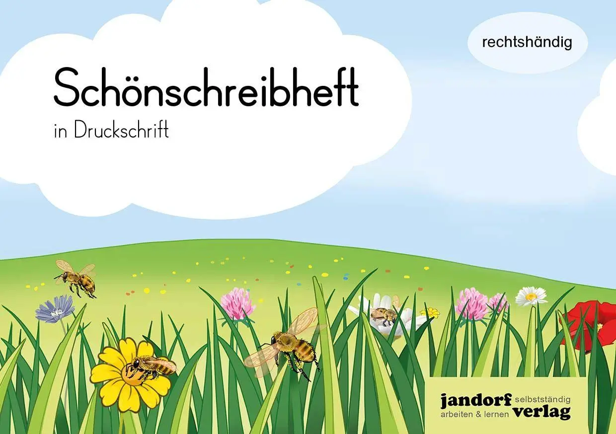 Cover: 9783960811657 | Schönschreibheft in DS - rechtshändig | Anja Wachendorf | Broschüre