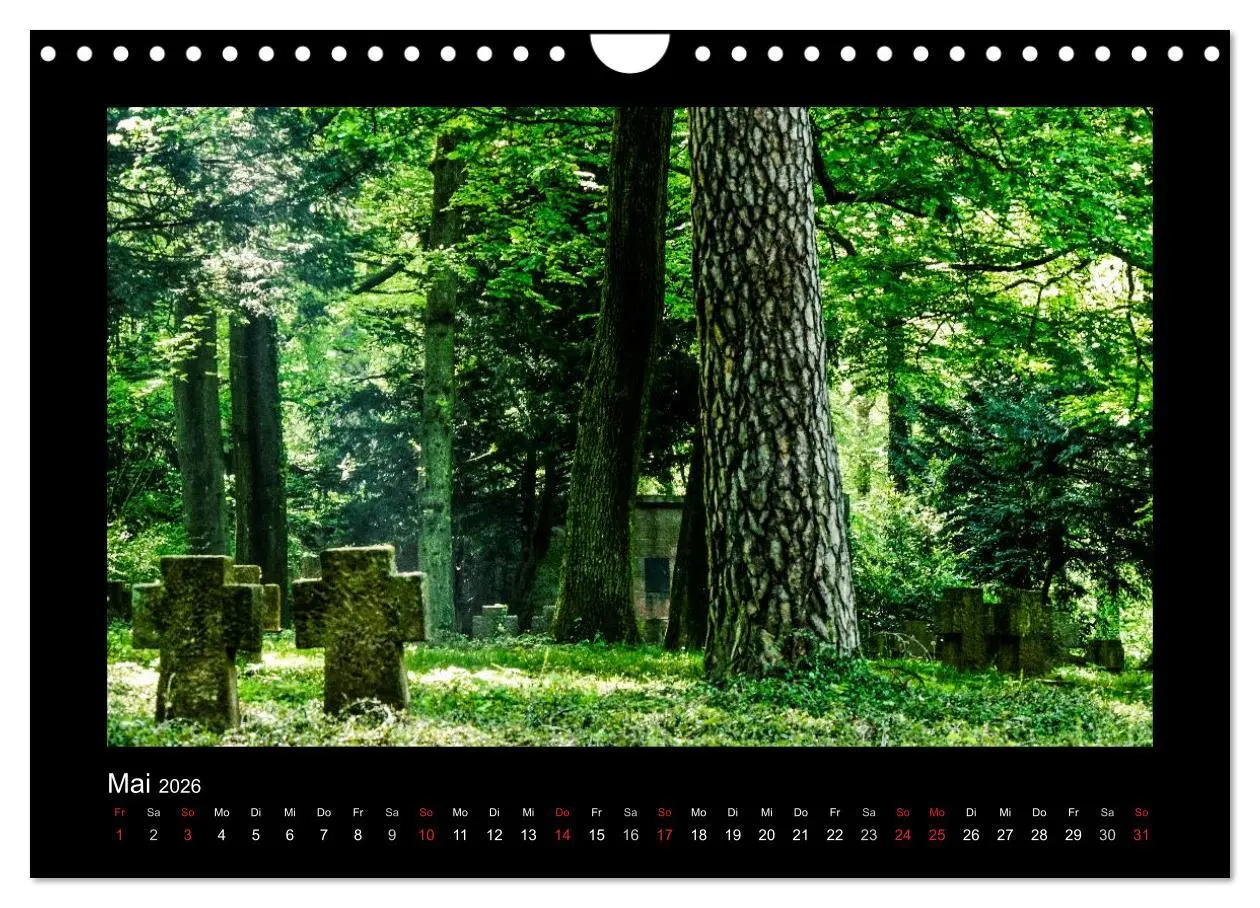 Bild: 9783516071757 | Heidelberg Views - Heidelberger Ansichten (Wandkalender 2026 DIN A4...
