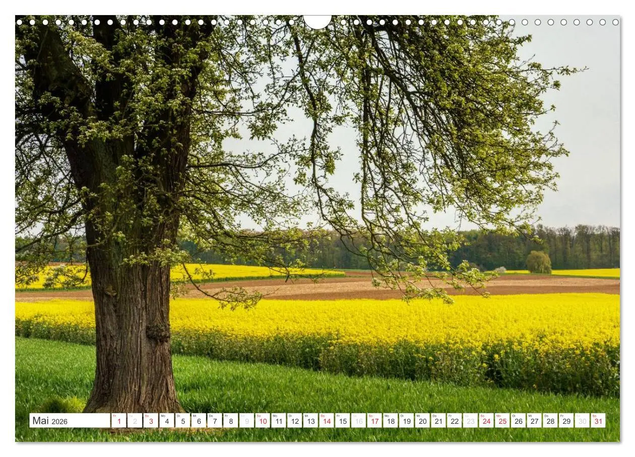Bild: 9783516211757 | Die Wetterau - Landschaft und Kultur (Wandkalender 2026 DIN A3...