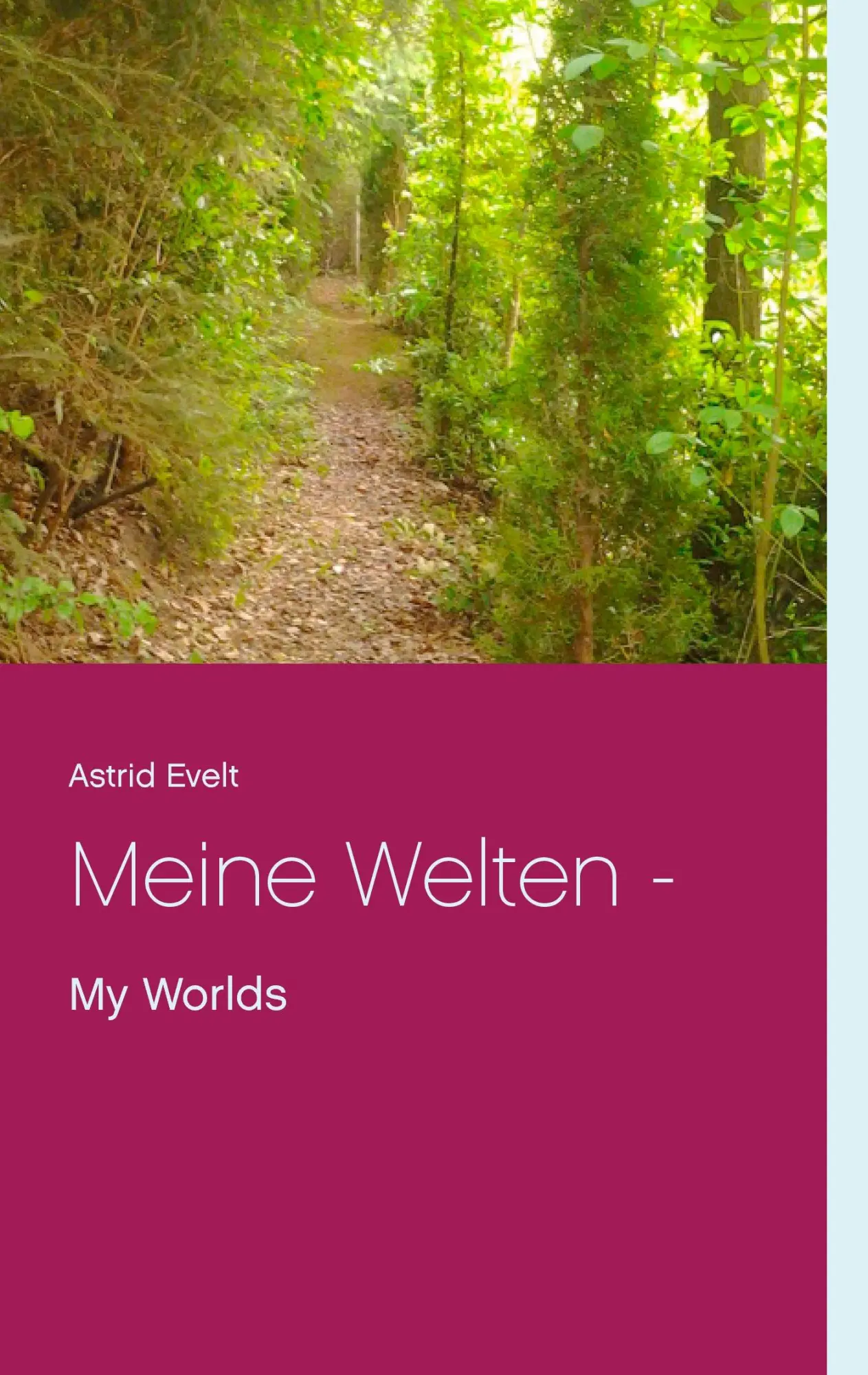 Cover: 9783741251757 | Meine Welten - | My Worlds | Astrid Evelt | Taschenbuch | 56 S. | 2016