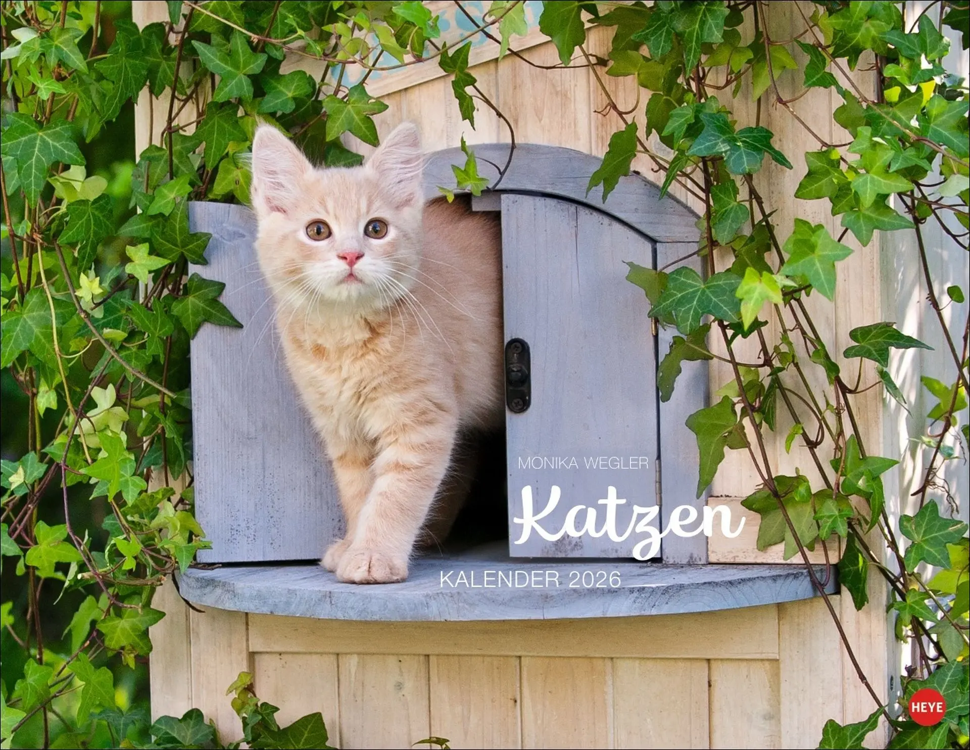 Cover: 9783756411757 | Monika Wegler: Katzenkalender 2026 | Monika Wegler | Kalender | 14 S.