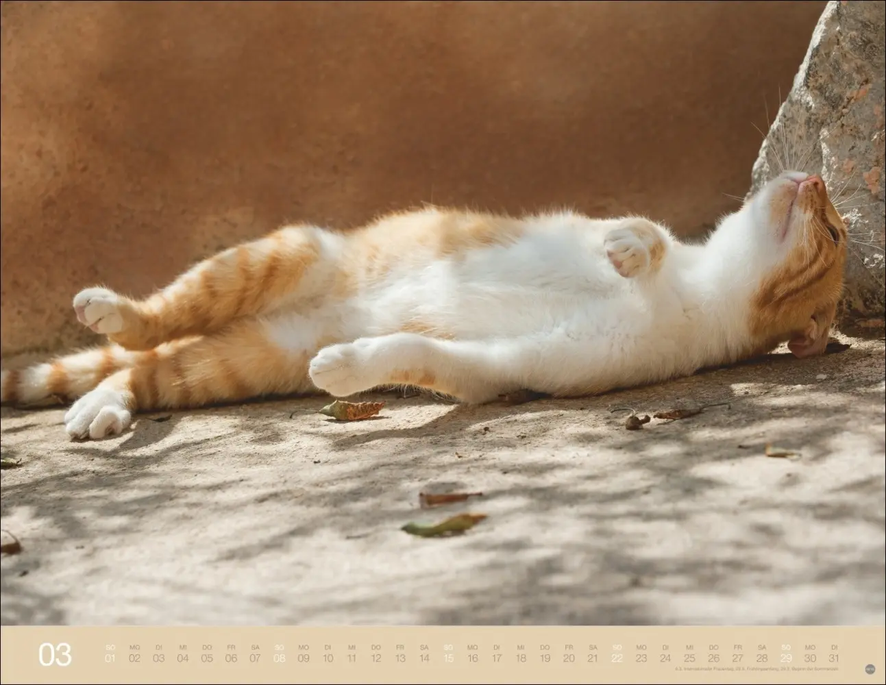 Bild: 9783756411757 | Monika Wegler: Katzenkalender 2026 | Monika Wegler | Kalender | 14 S.