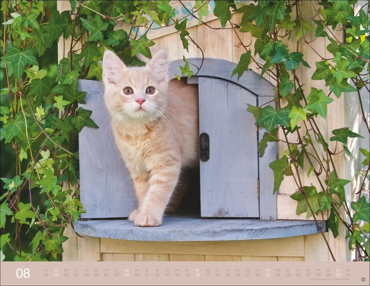 Bild: 9783756411757 | Monika Wegler: Katzenkalender 2026 | Monika Wegler | Kalender | 14 S.