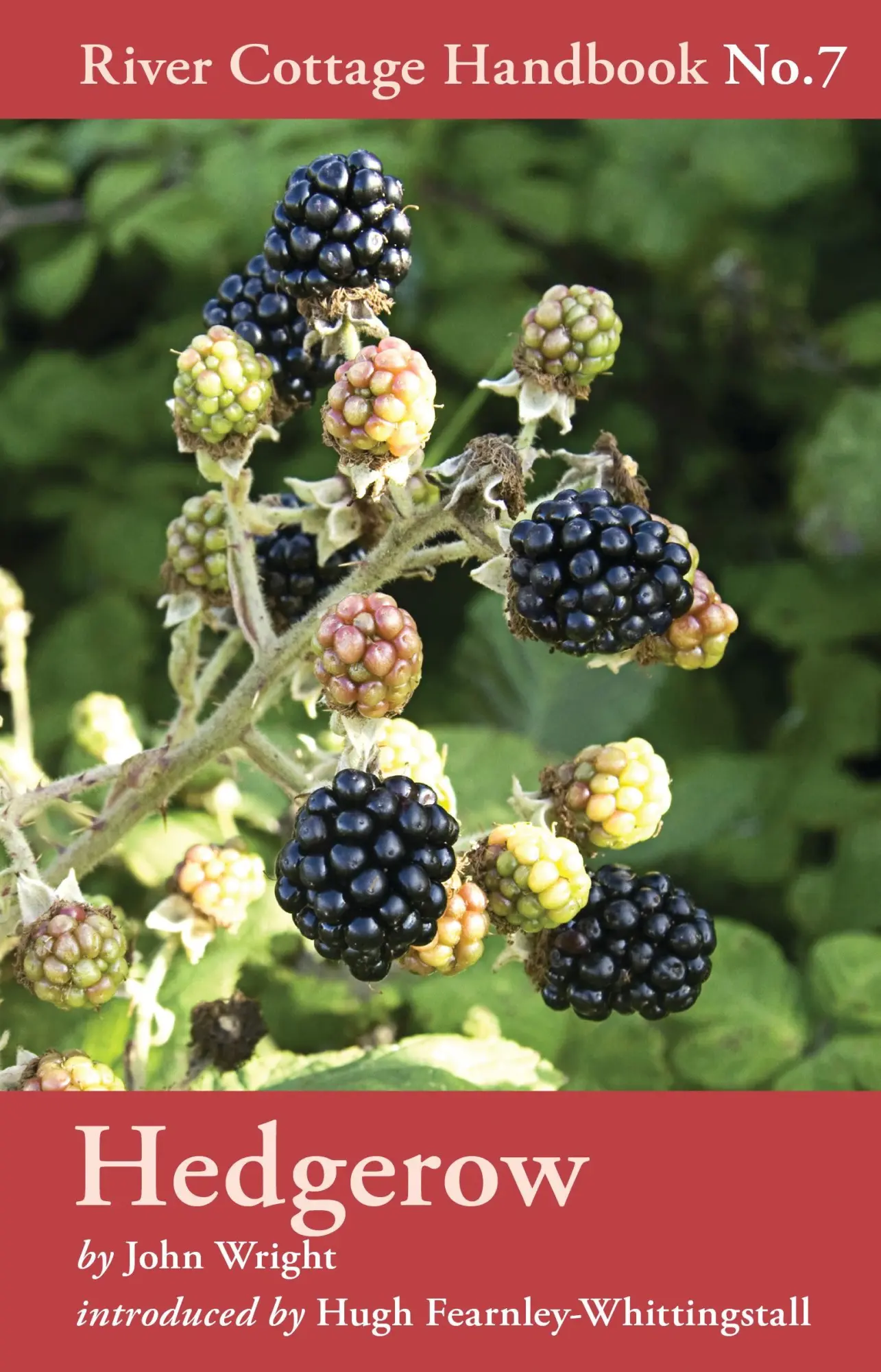 Cover: 9781408801857 | Hedgerow | John Wright | Buch | 256 S. | Englisch | 2010