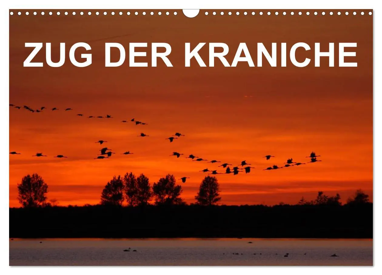 Cover: 9783516061857 | Zug der Kraniche (Wandkalender 2026 DIN A3 quer), CALVENDO...