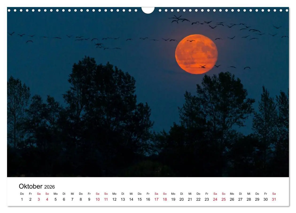 Bild: 9783516061857 | Zug der Kraniche (Wandkalender 2026 DIN A3 quer), CALVENDO...