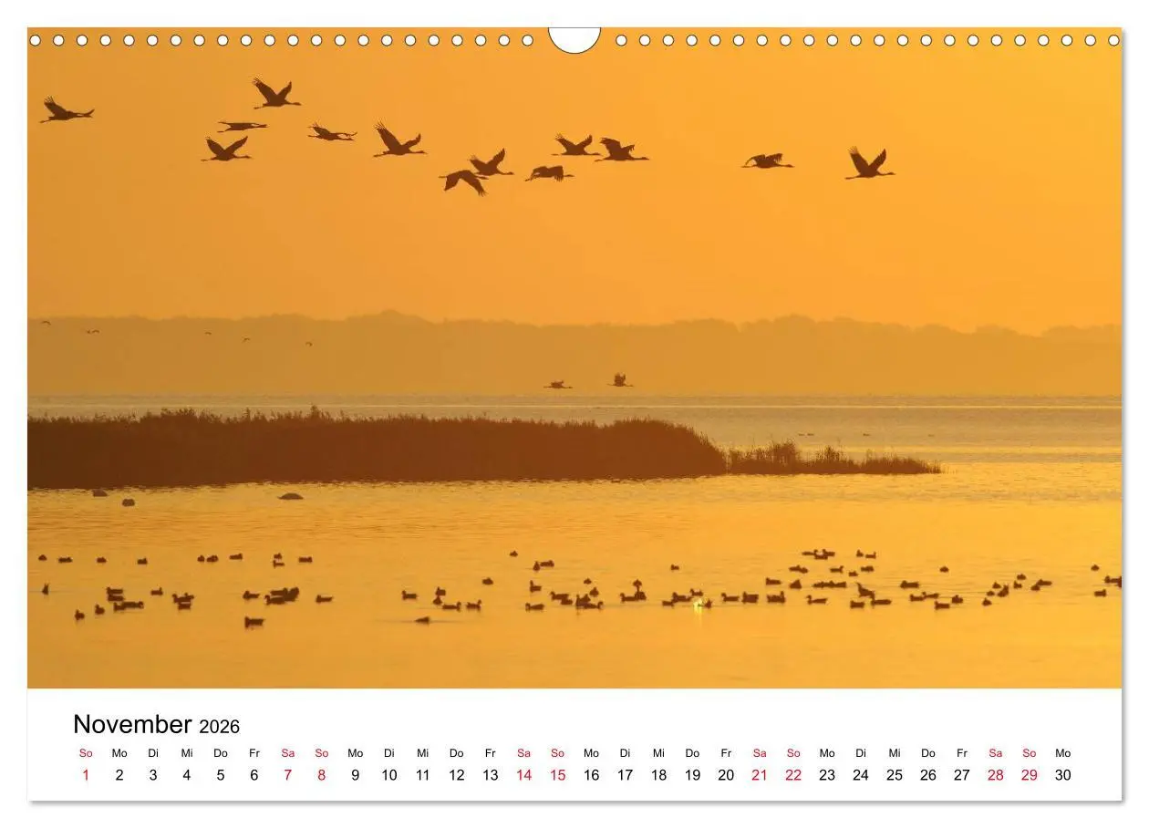Bild: 9783516061857 | Zug der Kraniche (Wandkalender 2026 DIN A3 quer), CALVENDO...