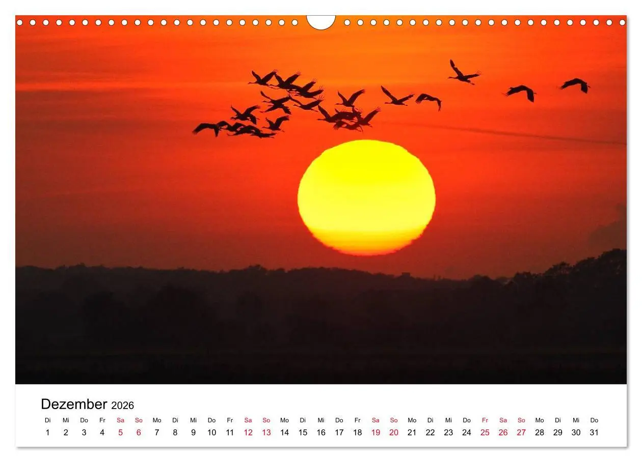 Bild: 9783516061857 | Zug der Kraniche (Wandkalender 2026 DIN A3 quer), CALVENDO...