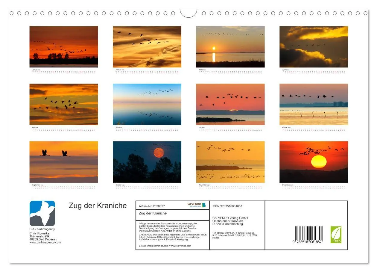 Bild: 9783516061857 | Zug der Kraniche (Wandkalender 2026 DIN A3 quer), CALVENDO...