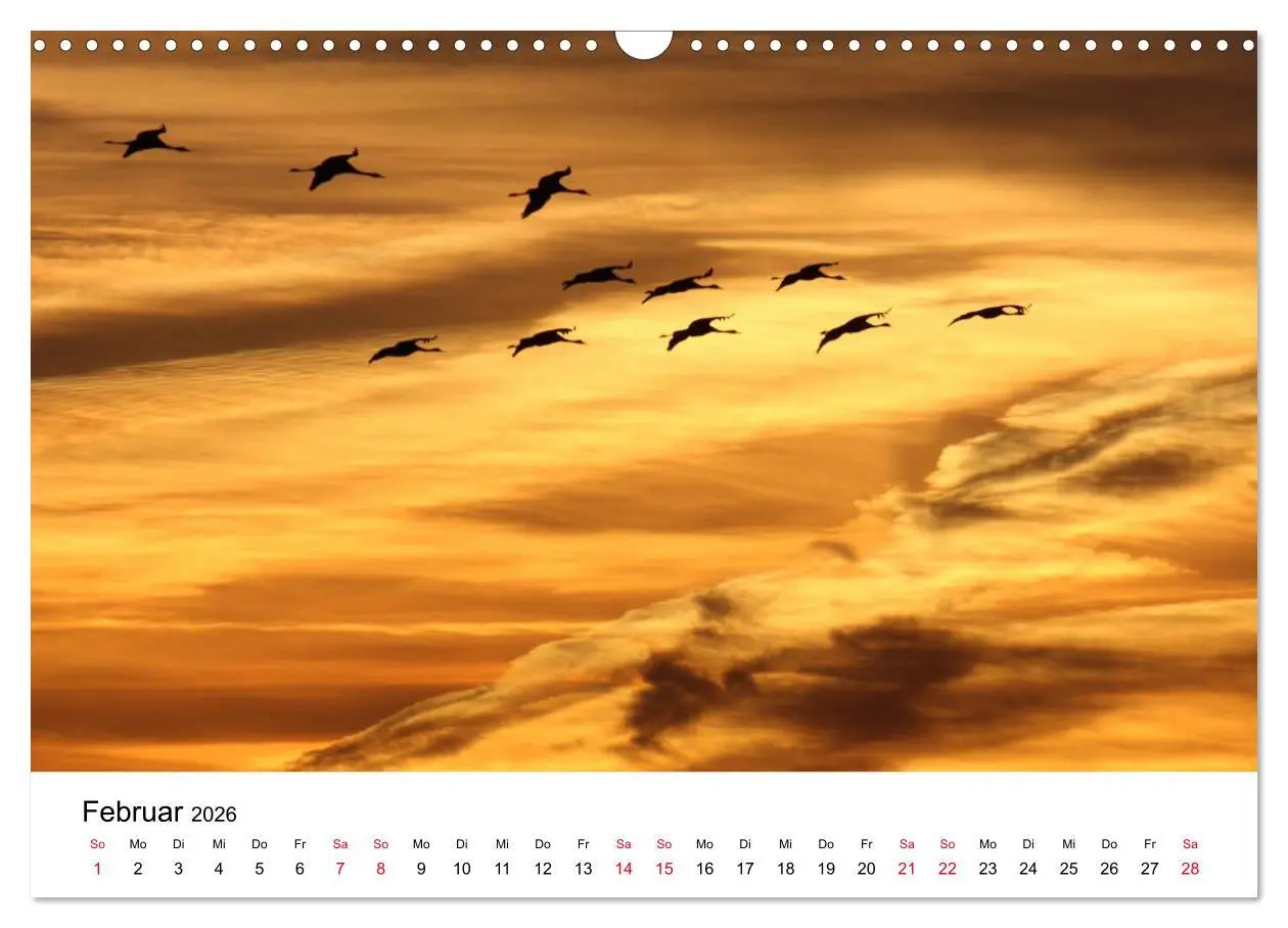 Bild: 9783516061857 | Zug der Kraniche (Wandkalender 2026 DIN A3 quer), CALVENDO...