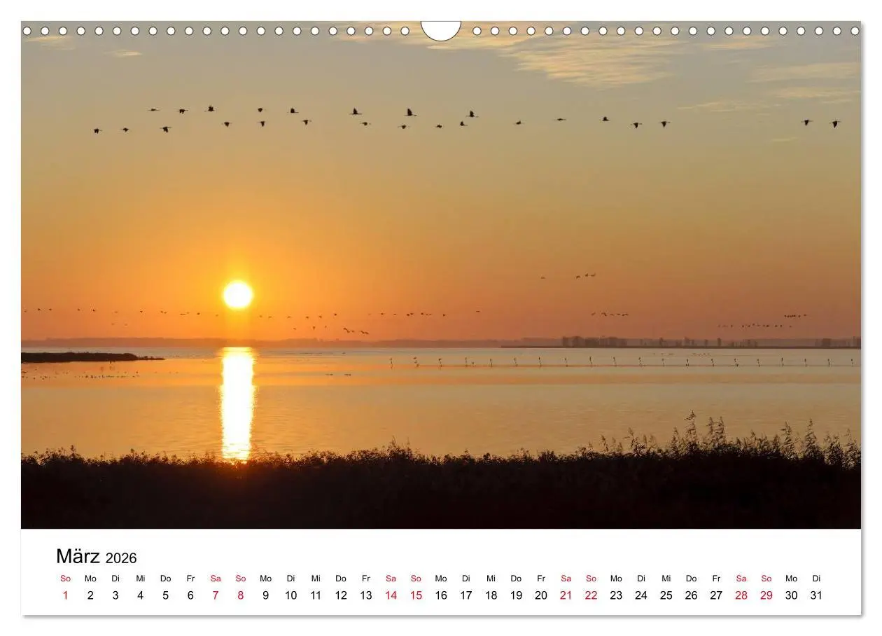 Bild: 9783516061857 | Zug der Kraniche (Wandkalender 2026 DIN A3 quer), CALVENDO...