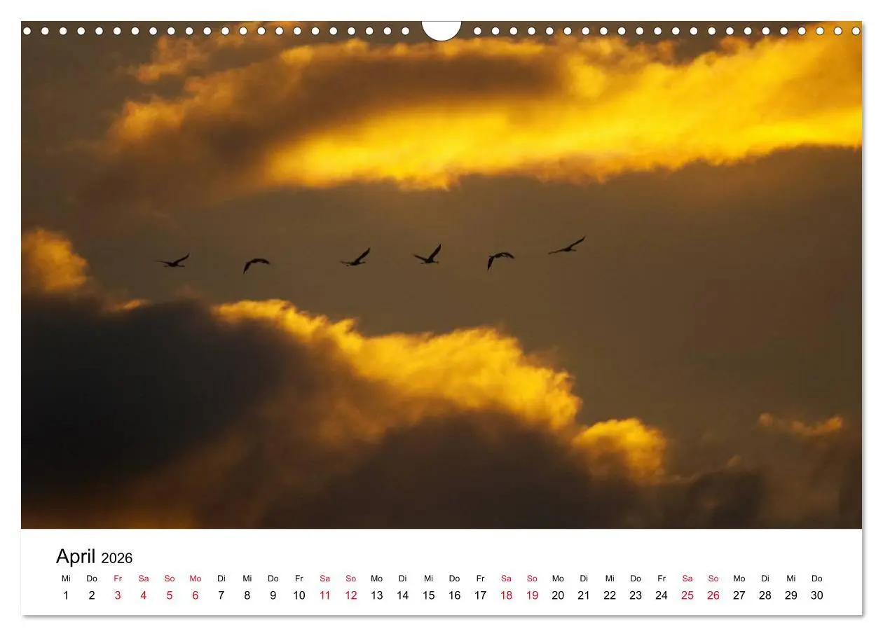 Bild: 9783516061857 | Zug der Kraniche (Wandkalender 2026 DIN A3 quer), CALVENDO...