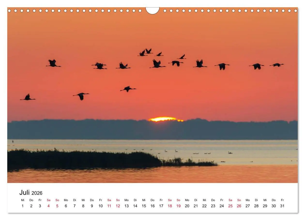 Bild: 9783516061857 | Zug der Kraniche (Wandkalender 2026 DIN A3 quer), CALVENDO...