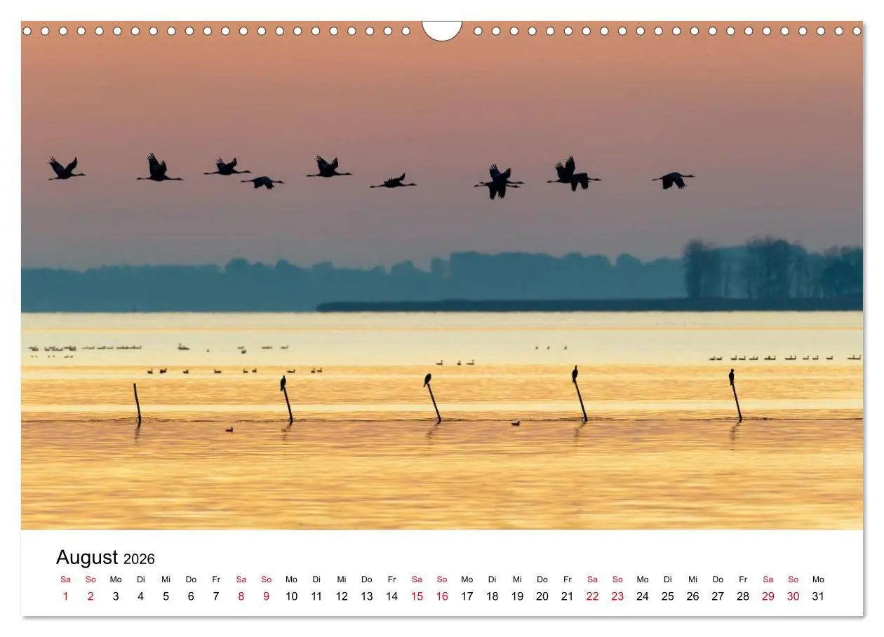 Bild: 9783516061857 | Zug der Kraniche (Wandkalender 2026 DIN A3 quer), CALVENDO...