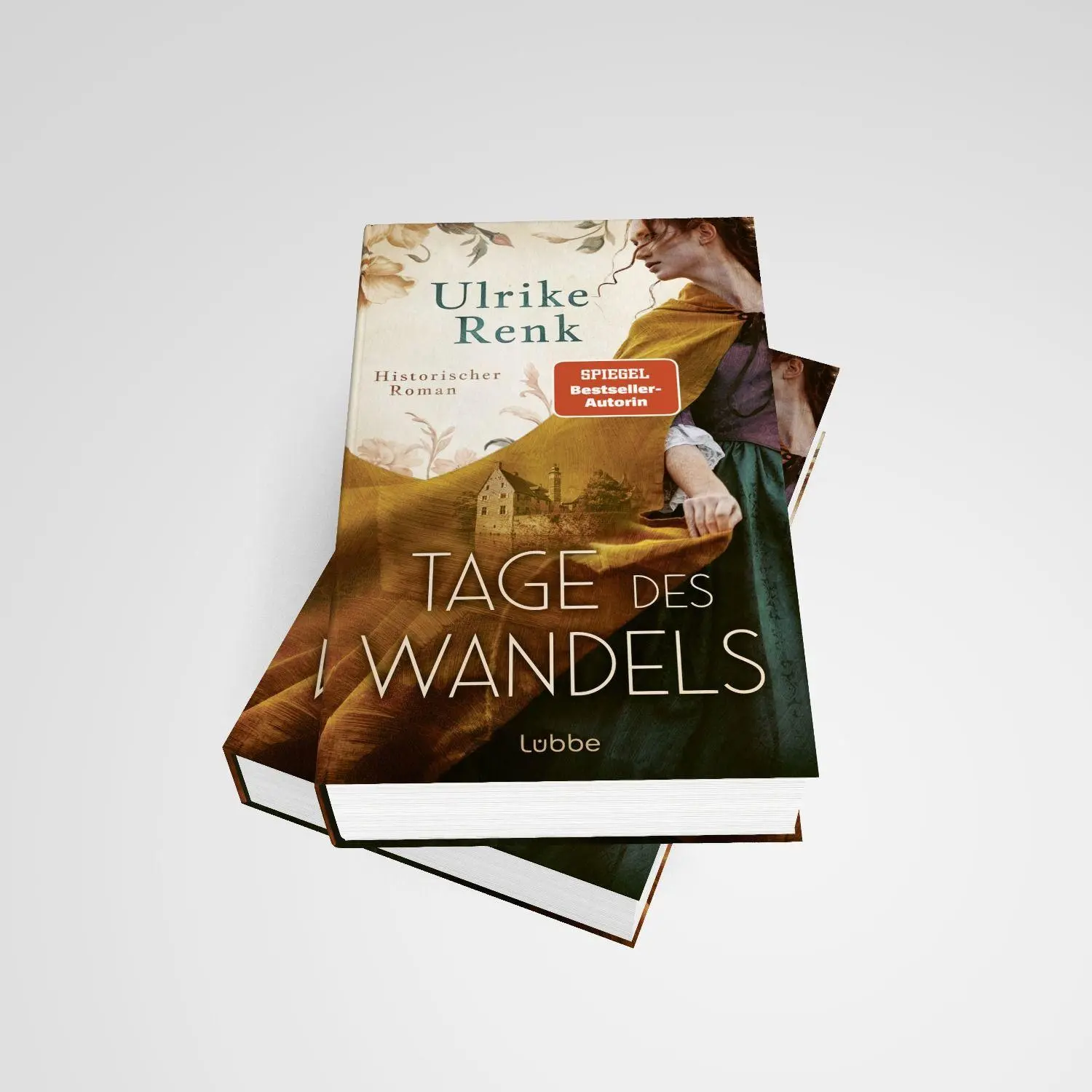 Bild: 9783757701857 | Tage des Wandels | Ulrike Renk | Buch | 496 S. | Deutsch | 2026