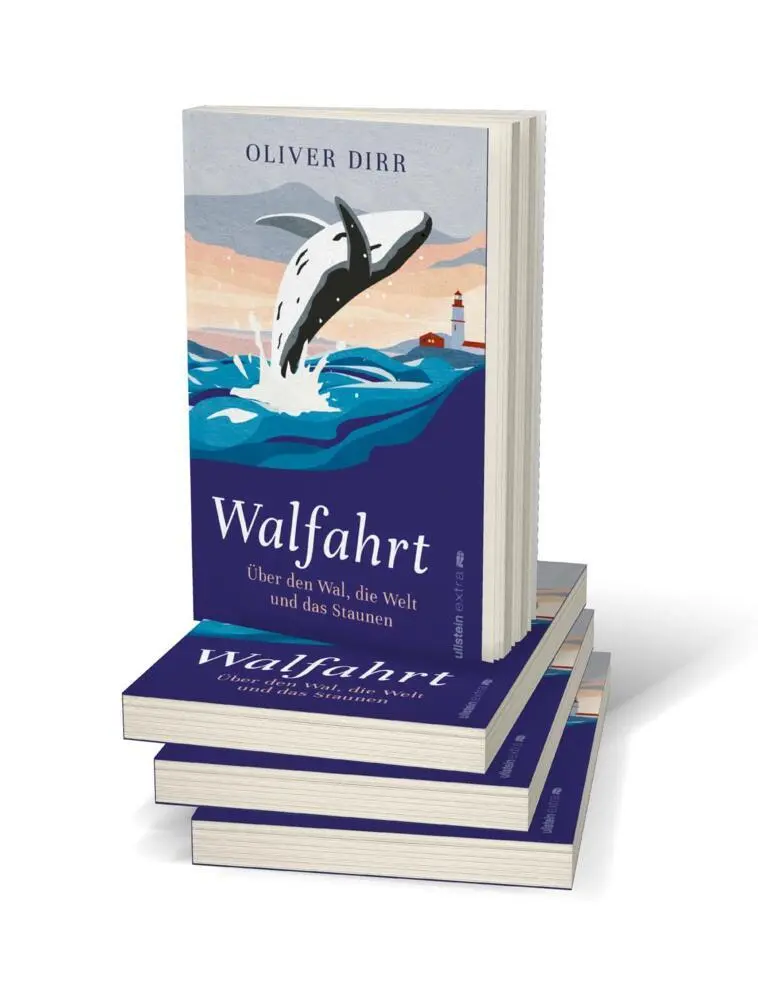 Rückseite: 9783864931857 | Walfahrt | Oliver Dirr | Taschenbuch | 304 S. | Deutsch | 2022