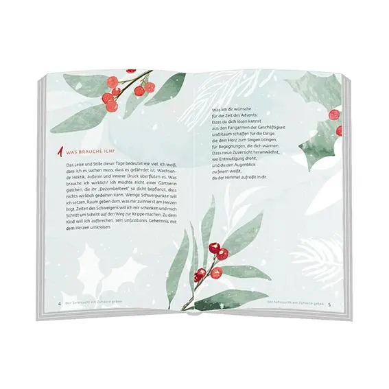 Bild: 9783987001857 | Der Sehnsucht ein Zuhause geben | 24 Inspirationen zum Advent | Buch