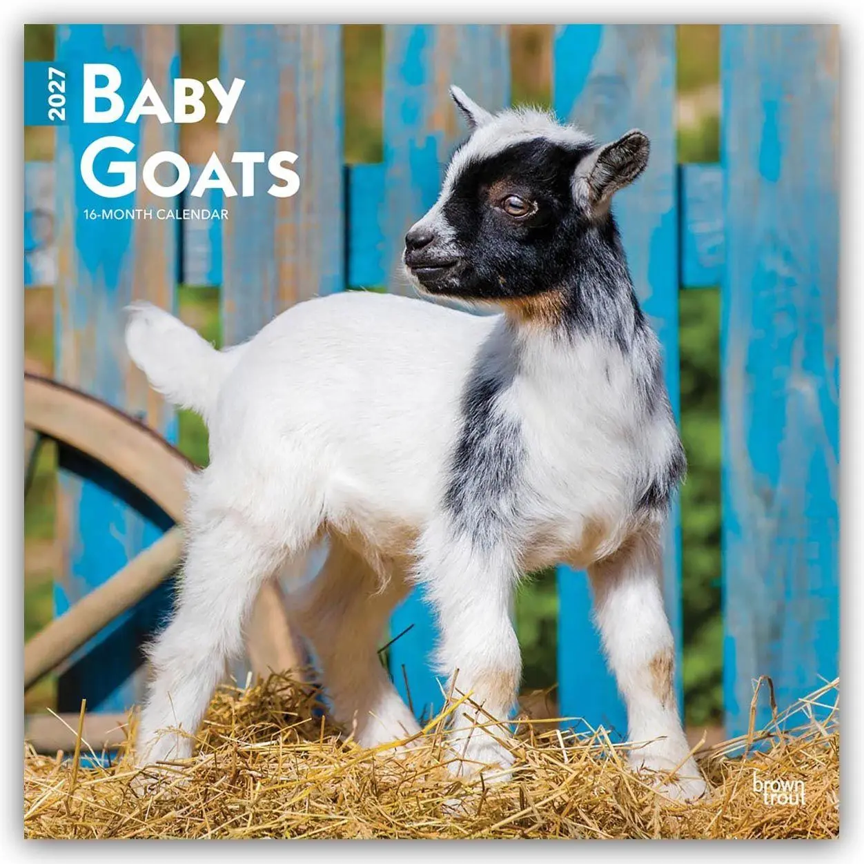 Cover: 9798330711857 | Baby Goats - Ziegenbabys 2027 - 16-Monatskalender | Publishers | 28 S.