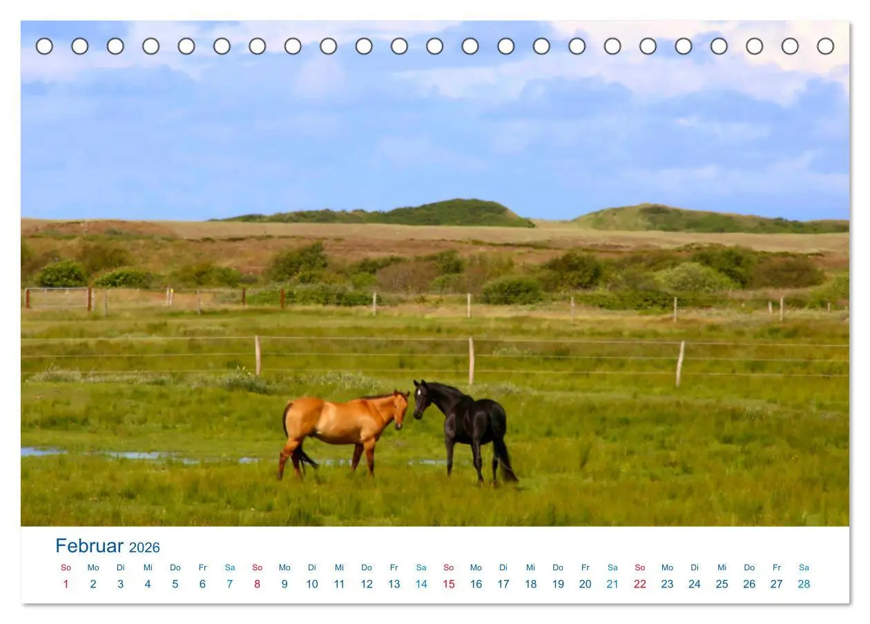 Bild: 9783457891957 | Langeoog 2026. Impressionen zwischen Hafen und Ostende...