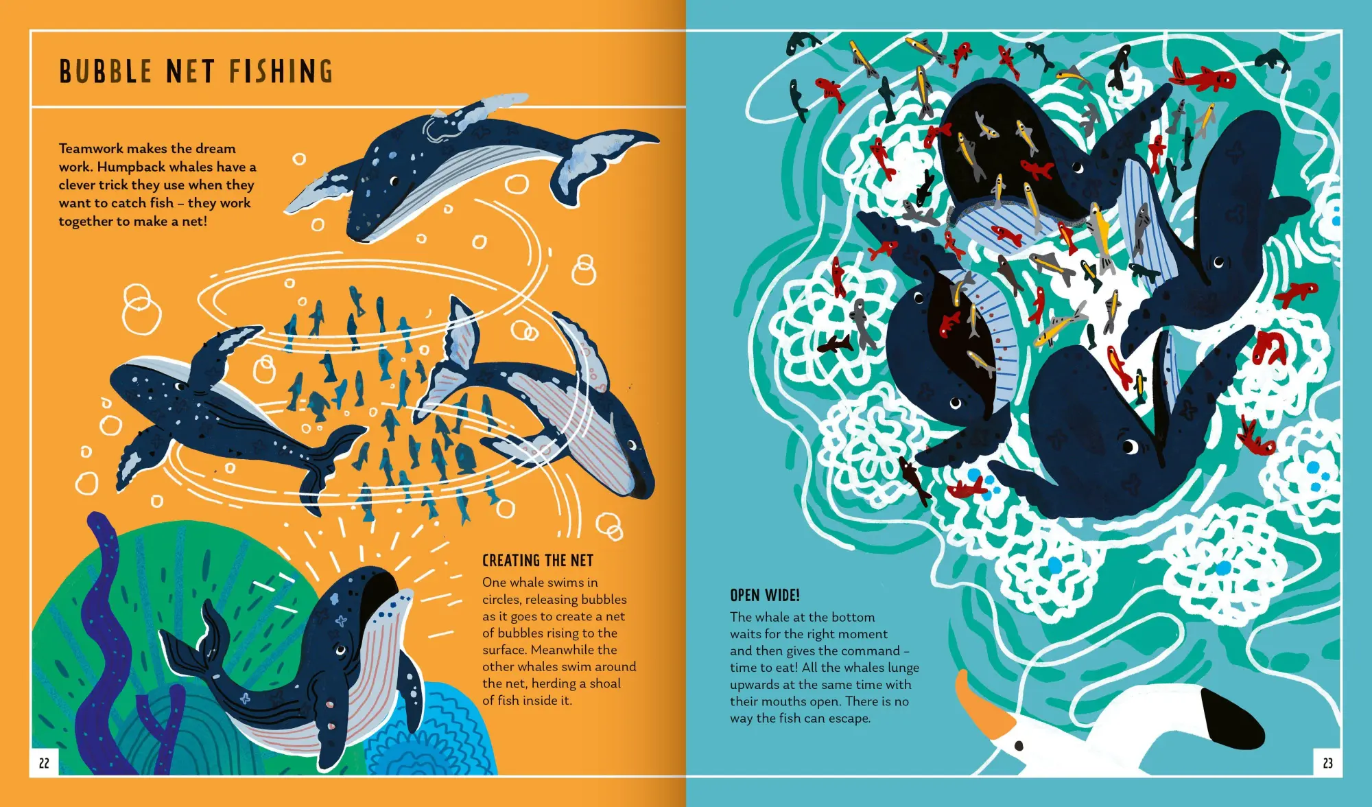 Bild: 9781838992057 | Humpback Whale (Young Zoologist) | Asha de Vos (u. a.) | Buch | 2022