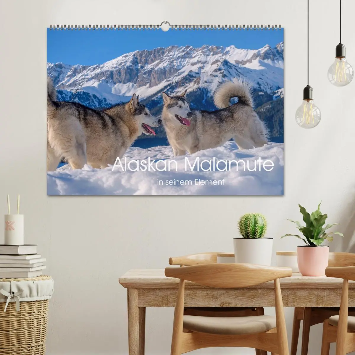 Bild: 9783457782057 | Alaskan Malamute in seinem Element (Wandkalender 2026 DIN A2 quer),...