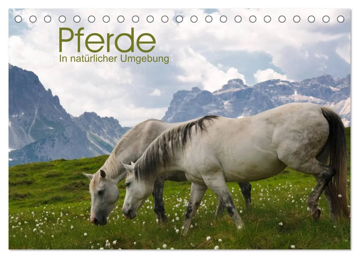 Cover: 9783516002157 | Pferde - In natürlicher Umgebung (Tischkalender 2026 DIN A5 quer),...