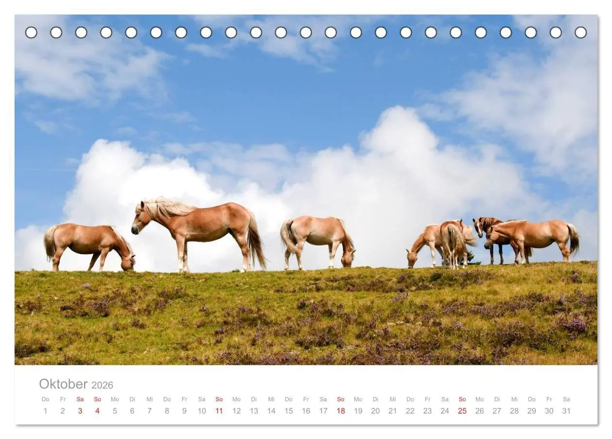 Bild: 9783516002157 | Pferde - In natürlicher Umgebung (Tischkalender 2026 DIN A5 quer),...