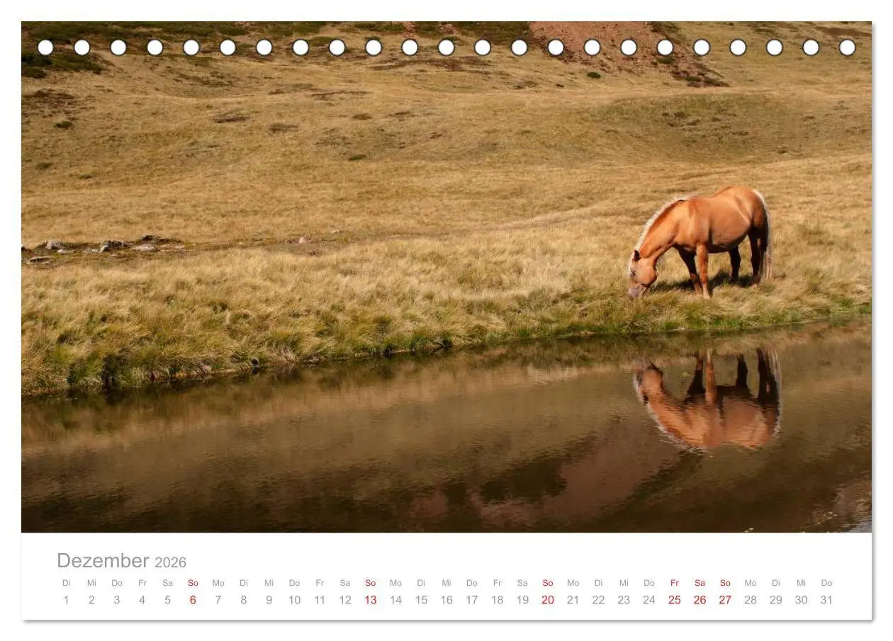 Bild: 9783516002157 | Pferde - In natürlicher Umgebung (Tischkalender 2026 DIN A5 quer),...