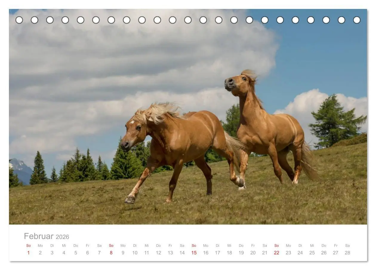 Bild: 9783516002157 | Pferde - In natürlicher Umgebung (Tischkalender 2026 DIN A5 quer),...