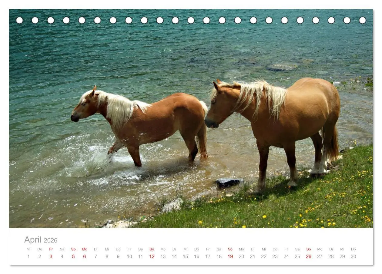 Bild: 9783516002157 | Pferde - In natürlicher Umgebung (Tischkalender 2026 DIN A5 quer),...