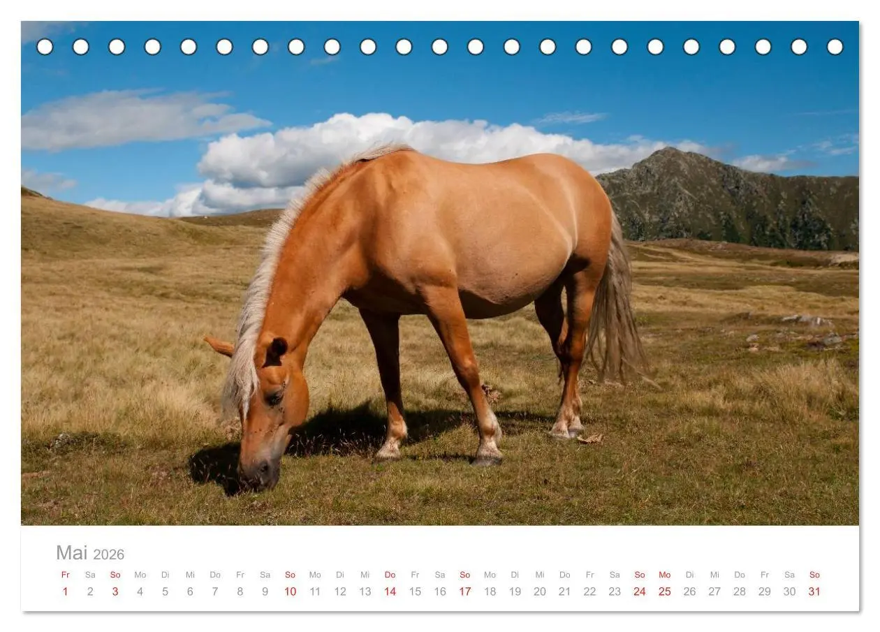 Bild: 9783516002157 | Pferde - In natürlicher Umgebung (Tischkalender 2026 DIN A5 quer),...