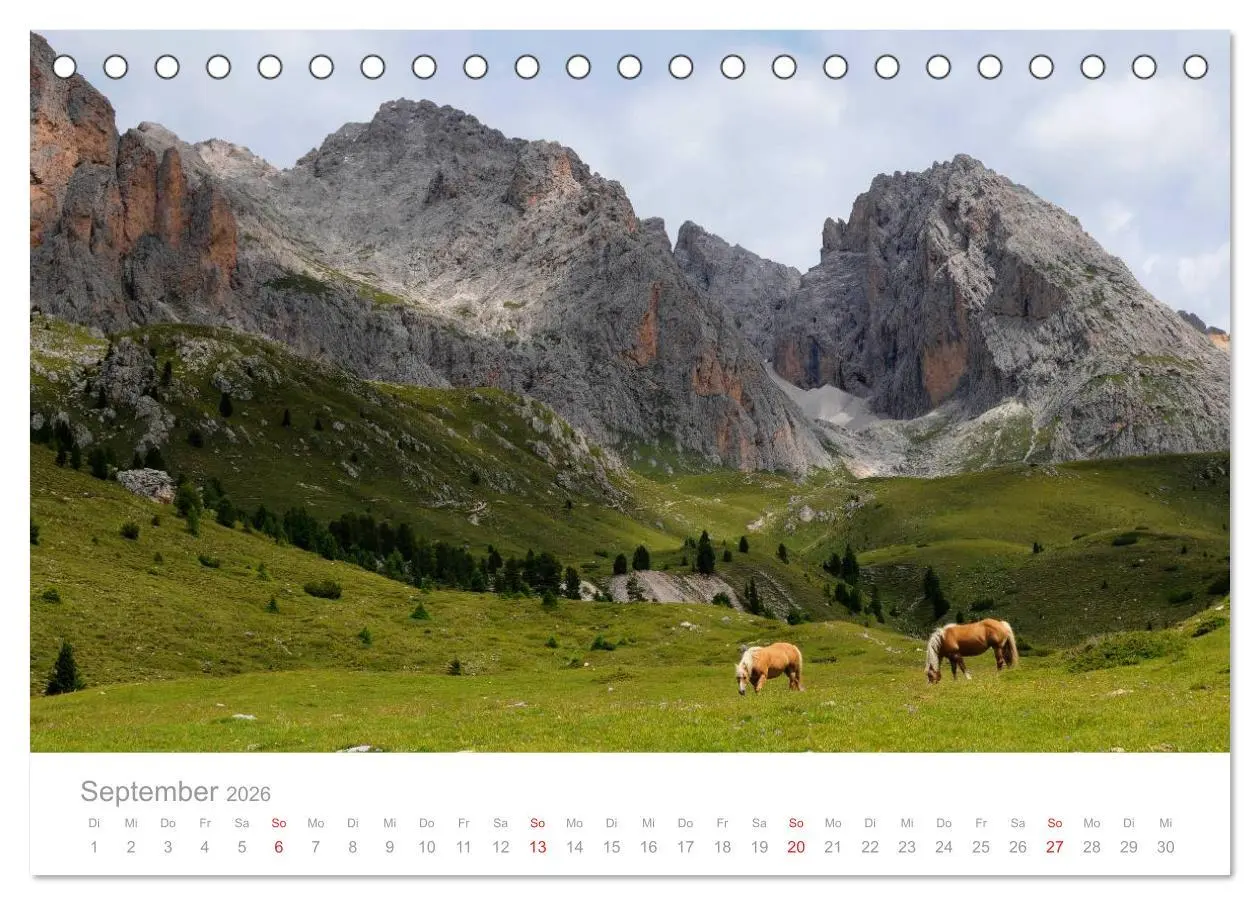 Bild: 9783516002157 | Pferde - In natürlicher Umgebung (Tischkalender 2026 DIN A5 quer),...