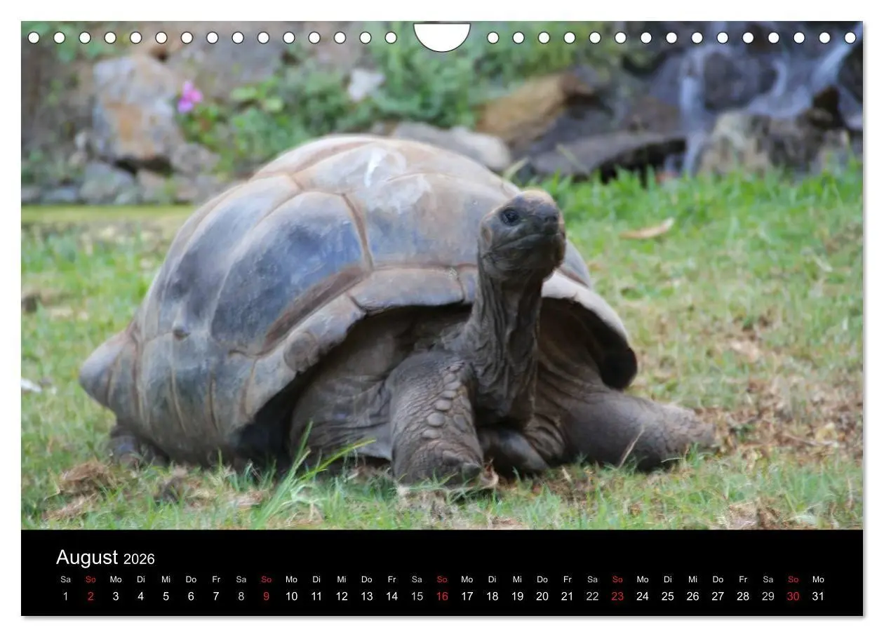 Bild: 9783516172157 | Trauminsel Mauritius (Wandkalender 2026 DIN A4 quer), CALVENDO...