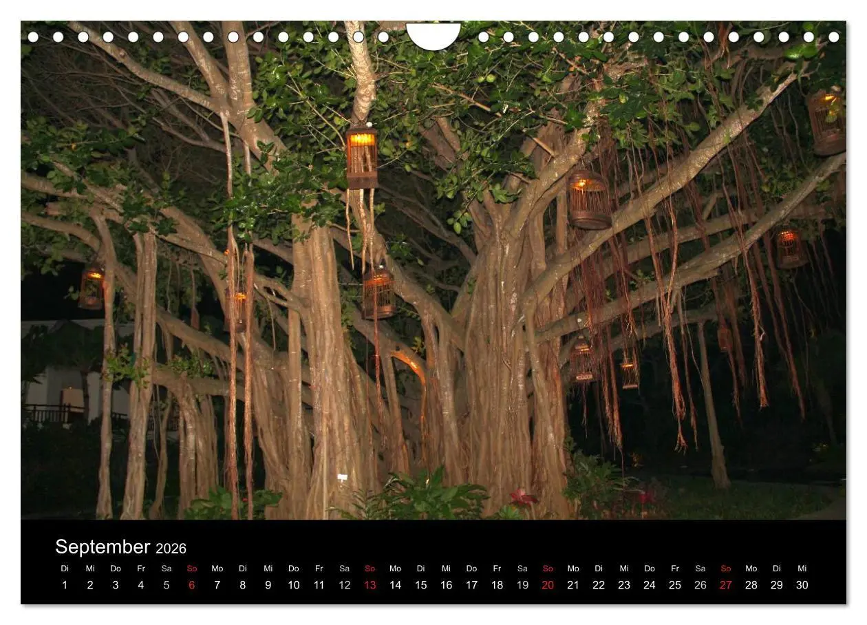 Bild: 9783516172157 | Trauminsel Mauritius (Wandkalender 2026 DIN A4 quer), CALVENDO...