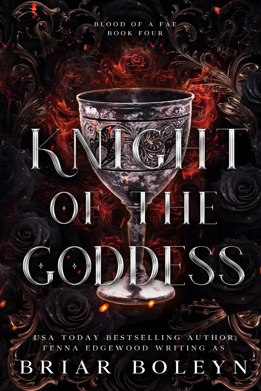 Cover: 9781069262257 | Knight of the Goddess | Briar Boleyn | Taschenbuch | Englisch | 2024