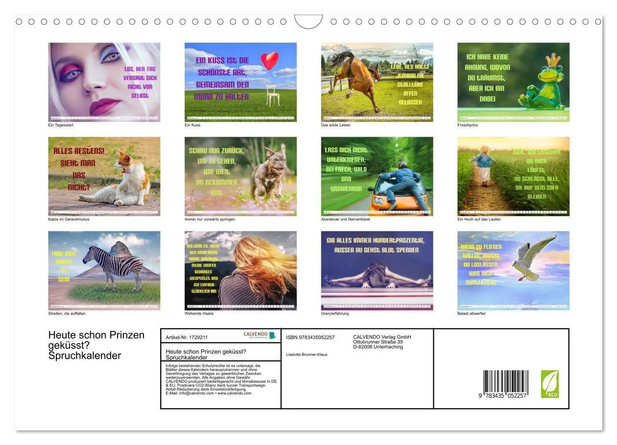 Bild: 9783435052257 | Heute schon Prinzen geküsst? Spruchkalender (Wandkalender 2025 DIN...