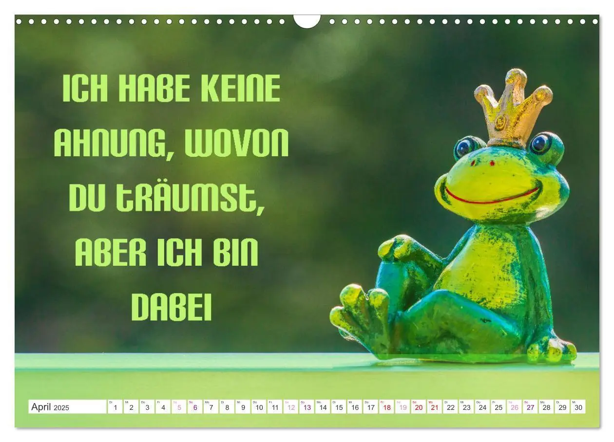 Bild: 9783435052257 | Heute schon Prinzen geküsst? Spruchkalender (Wandkalender 2025 DIN...
