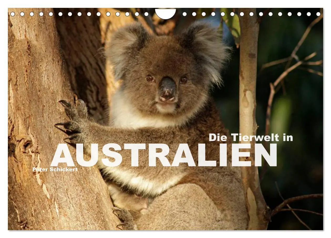 Cover: 9783516092257 | Die Tierwelt in Australien (Wandkalender 2026 DIN A4 quer),...