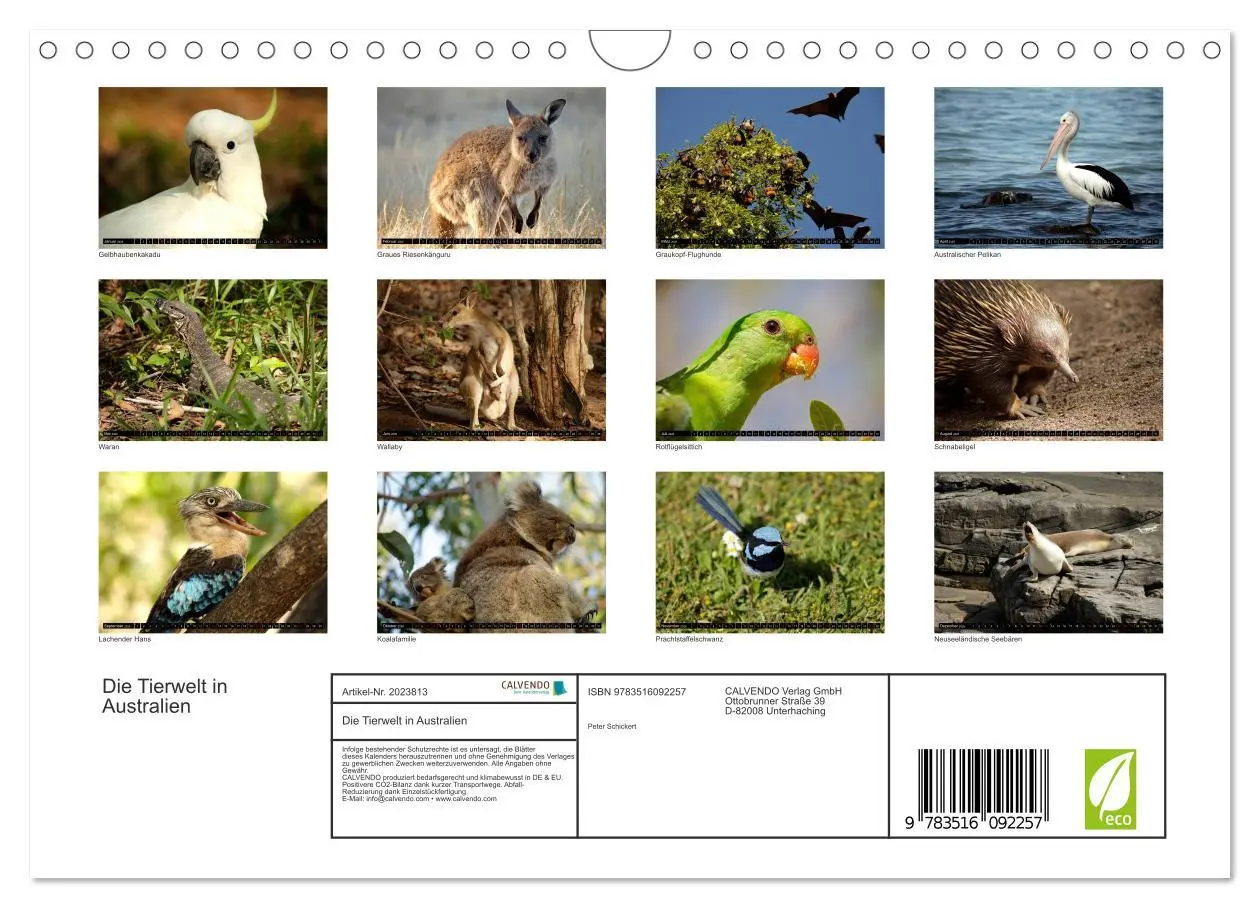 Bild: 9783516092257 | Die Tierwelt in Australien (Wandkalender 2026 DIN A4 quer),...